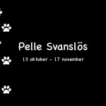 Pellebild tass